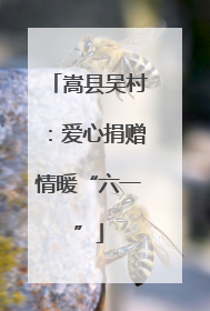 嵩县吴村：爱心捐赠情暖“六一”